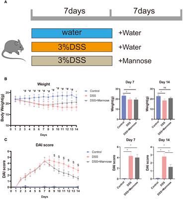 Mannose enhances intestinal immune barrier function and dextran sulfate sodium salt-induced colitis in mice by regulating intestinal microbiota
